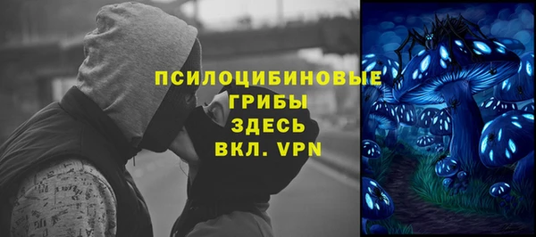 герыч Бронницы