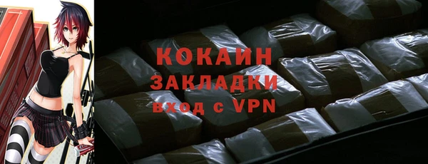 хмурый Бородино