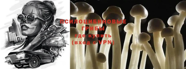 герыч Бронницы