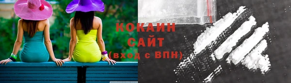 хмурый Бородино