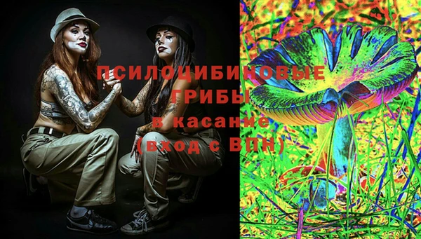 хмурый Бородино
