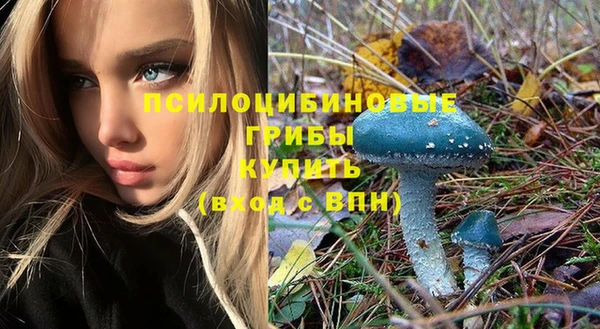герыч Бронницы