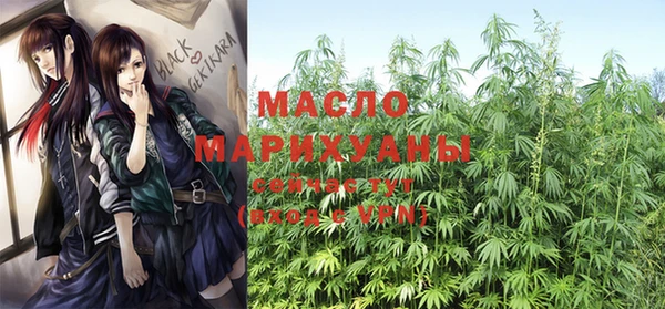 хмурый Бородино